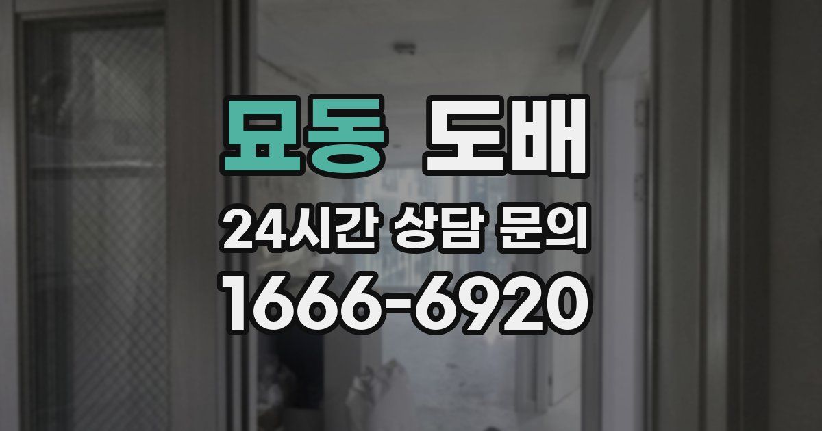 묘동 도배