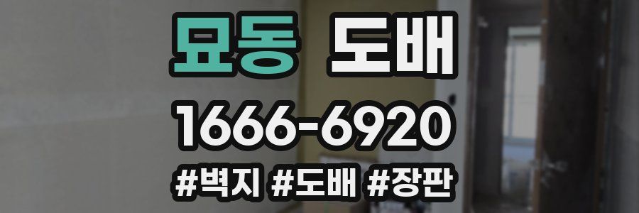 묘동 도배