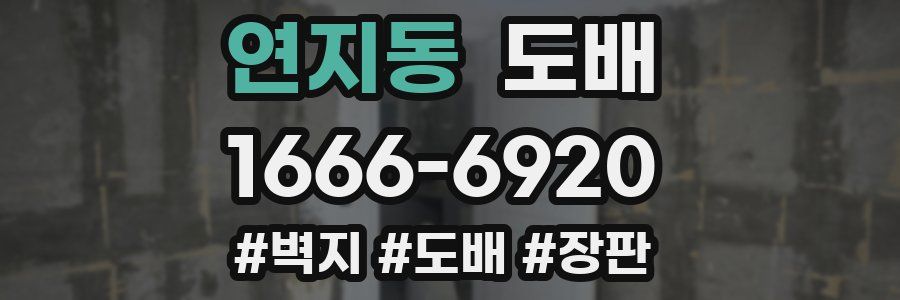 연지동 도배