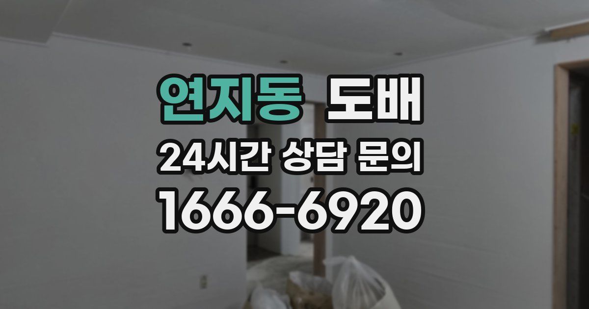 연지동 도배