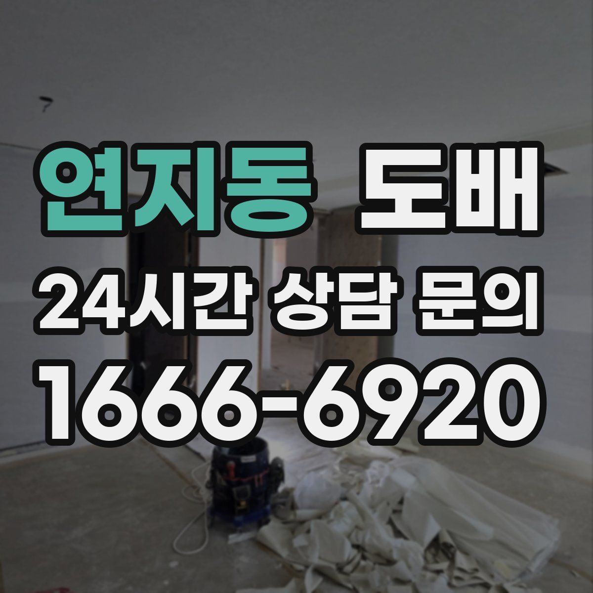 연지동 도배