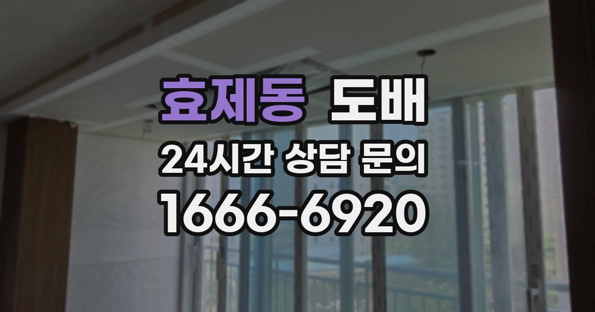 효제동 도배
