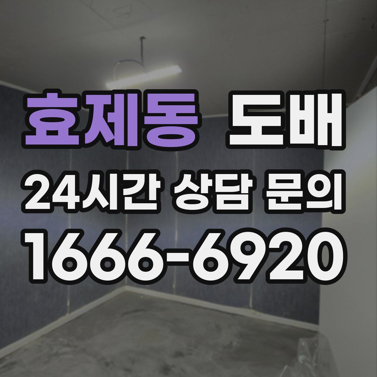 효제동 도배