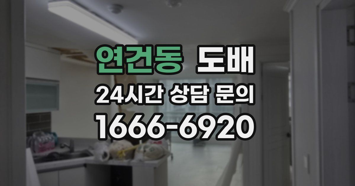 연건동 도배