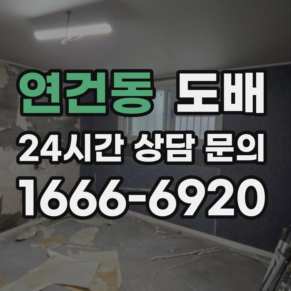 연건동 도배