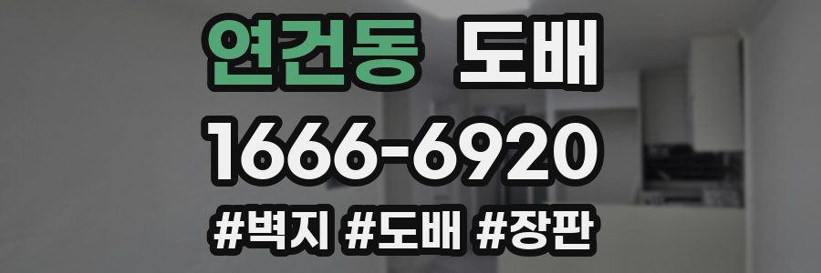 연건동 도배