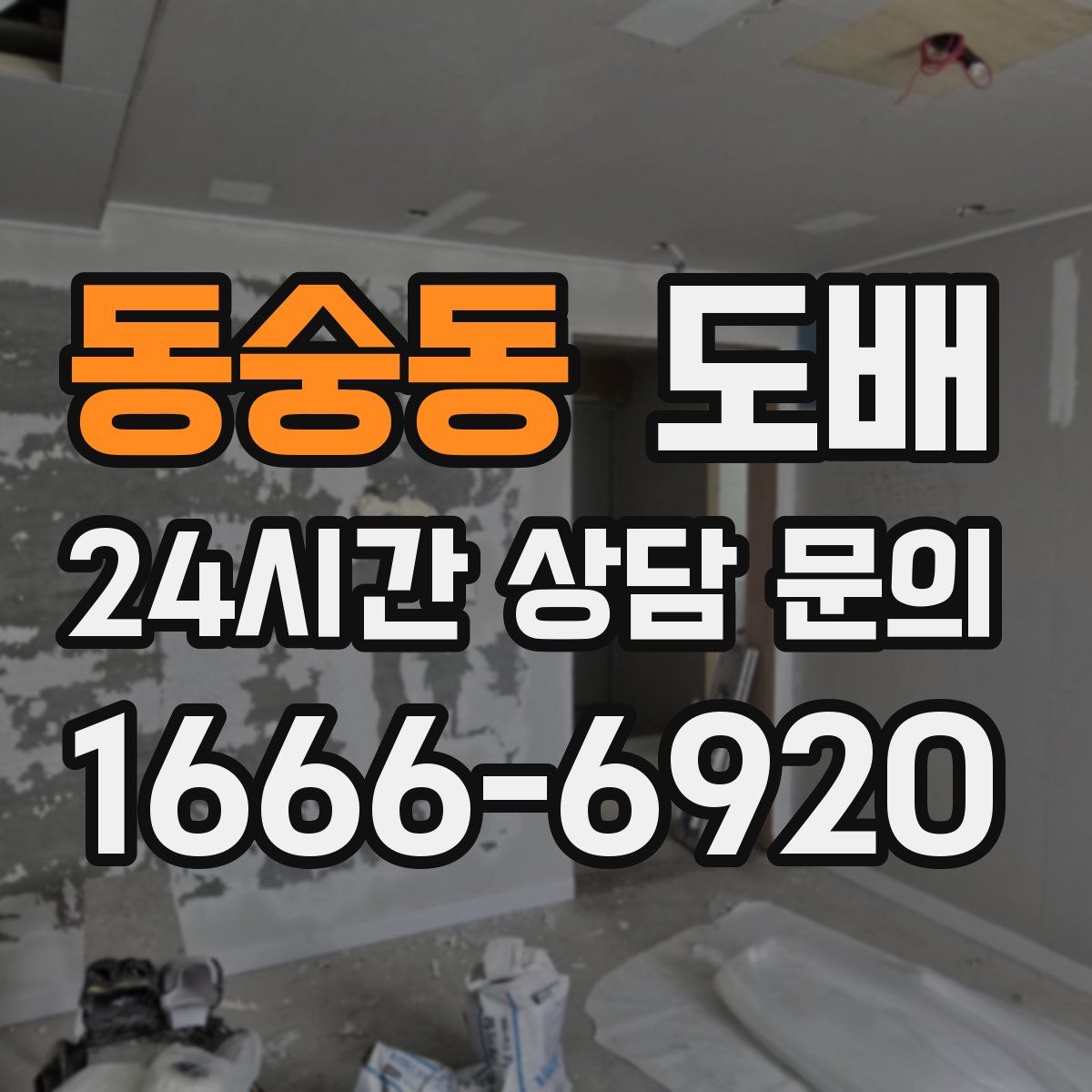 동숭동 도배