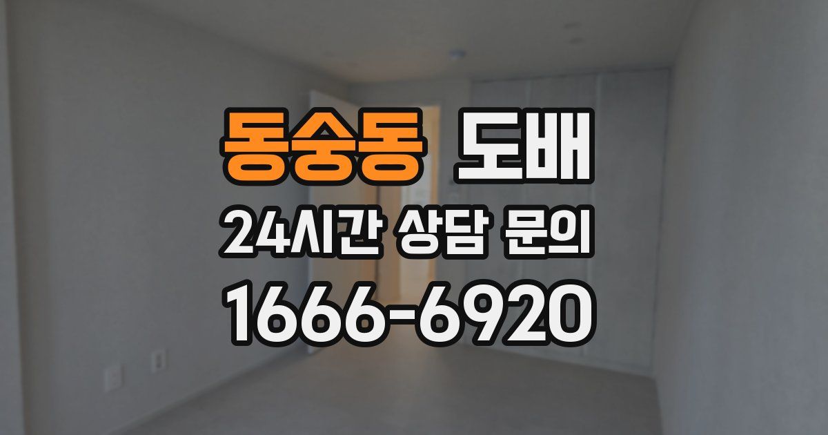 동숭동 도배
