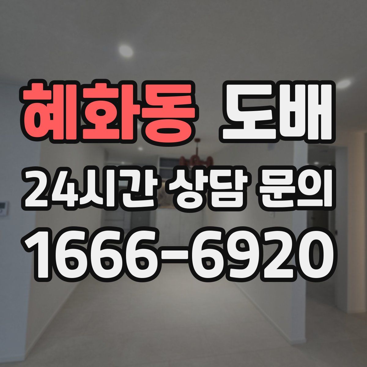 혜화동 도배