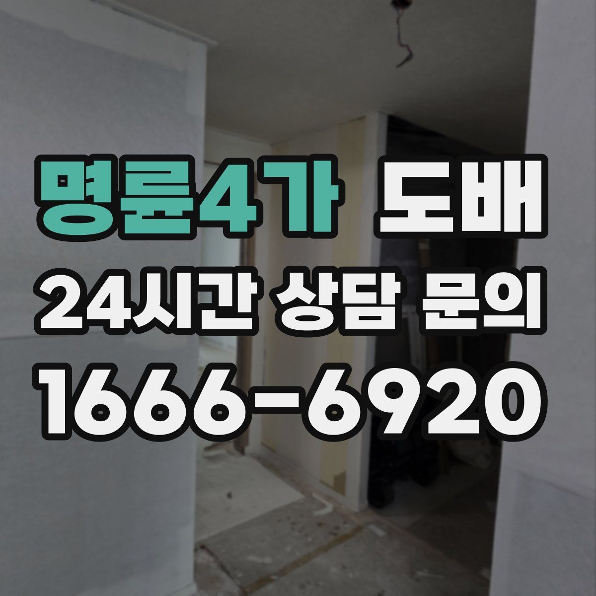 명륜4가 도배