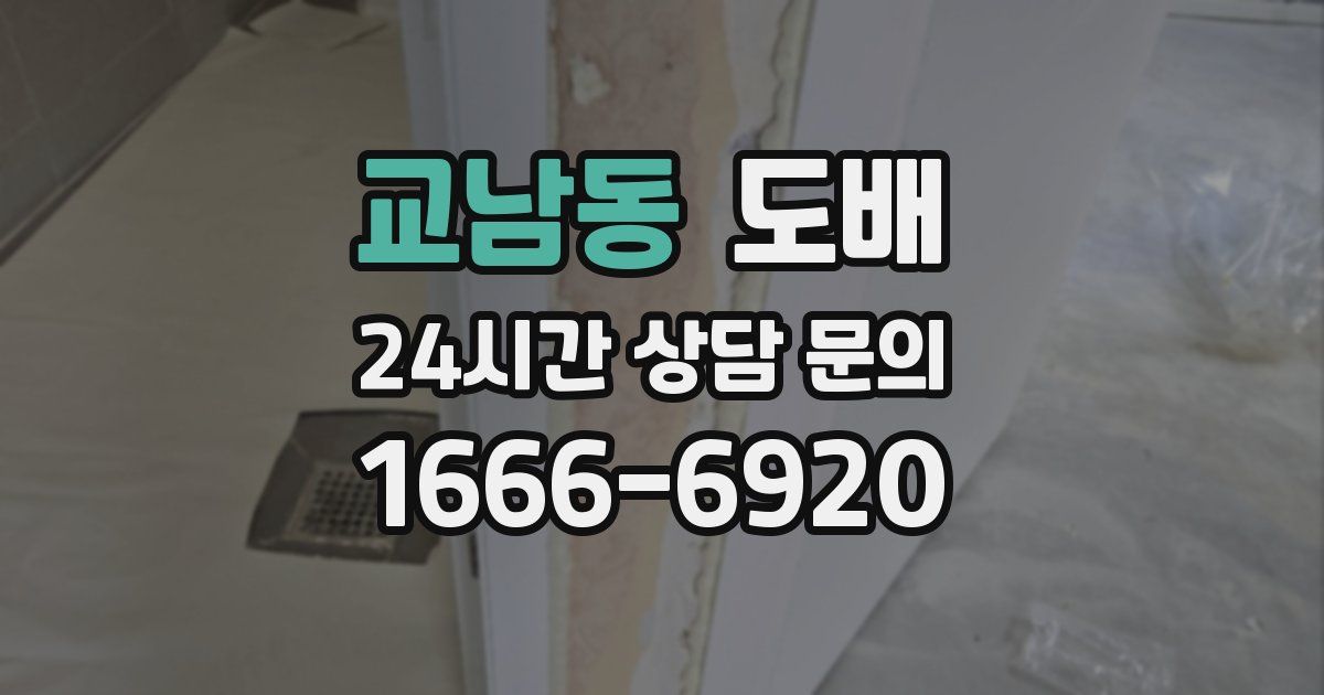 교남동 도배