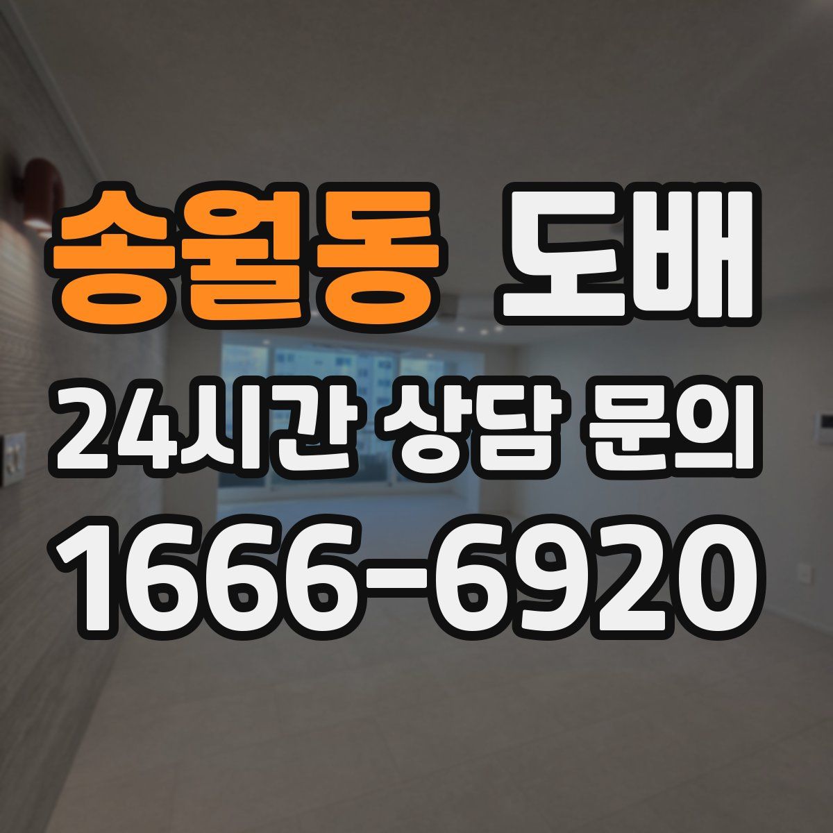 송월동 도배