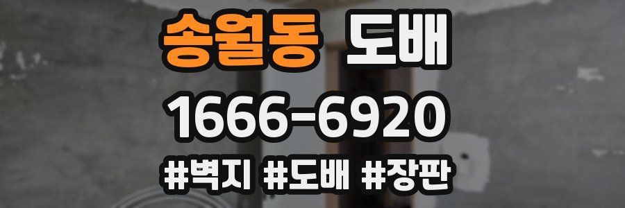 송월동 도배