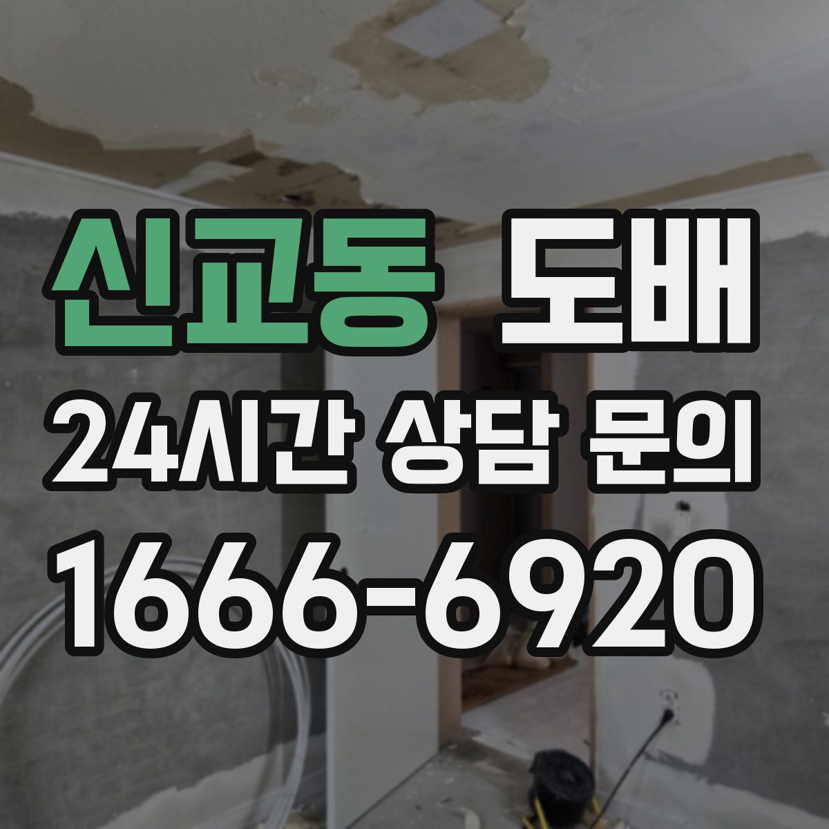신교동 도배