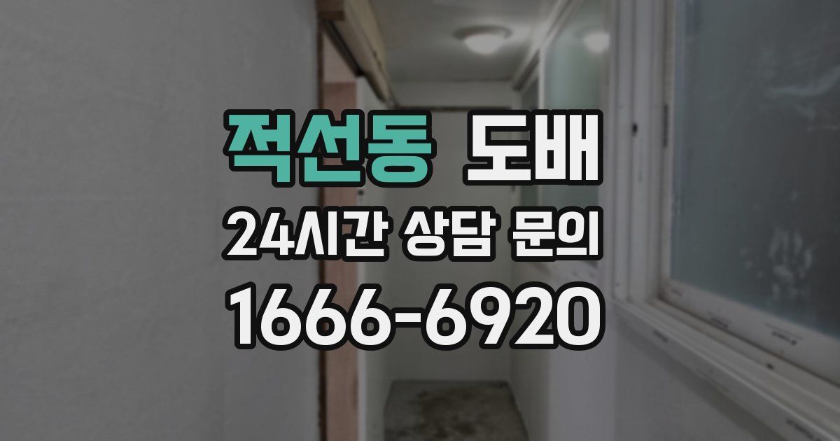 적선동 도배