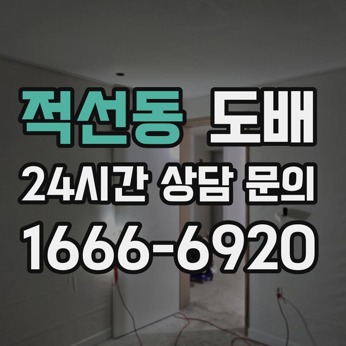 적선동 도배