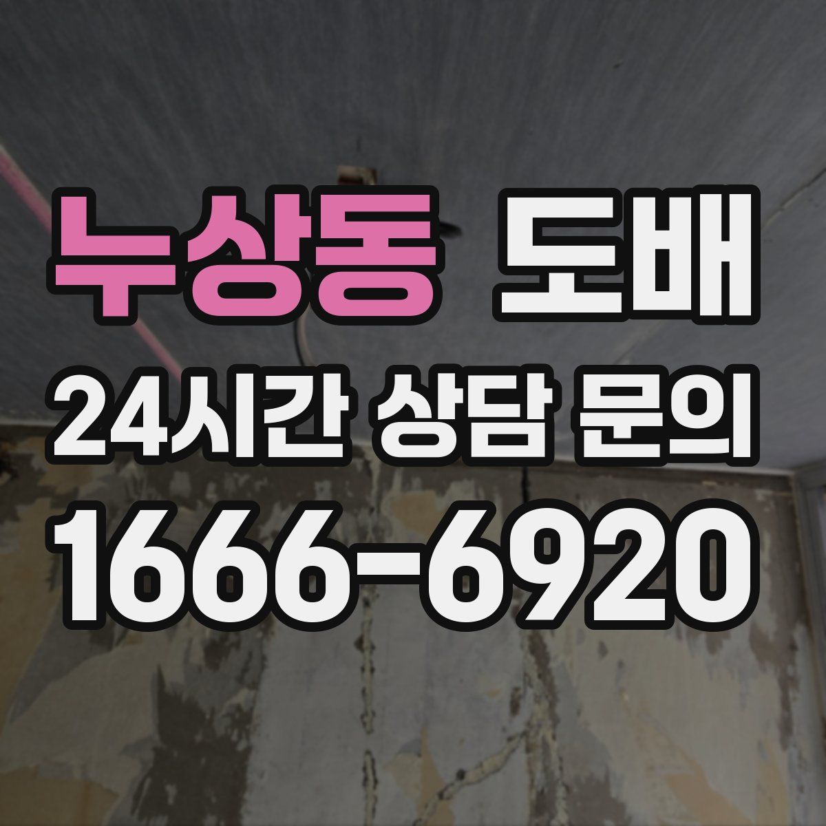 누상동 도배