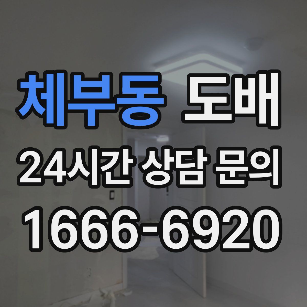 체부동 도배