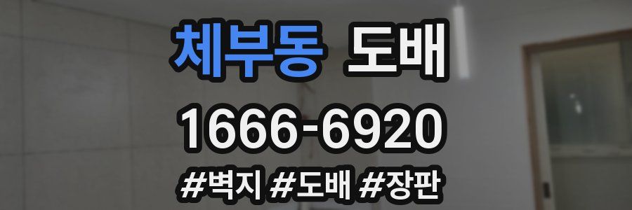 체부동 도배