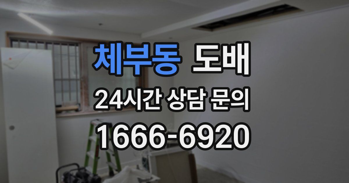 체부동 도배