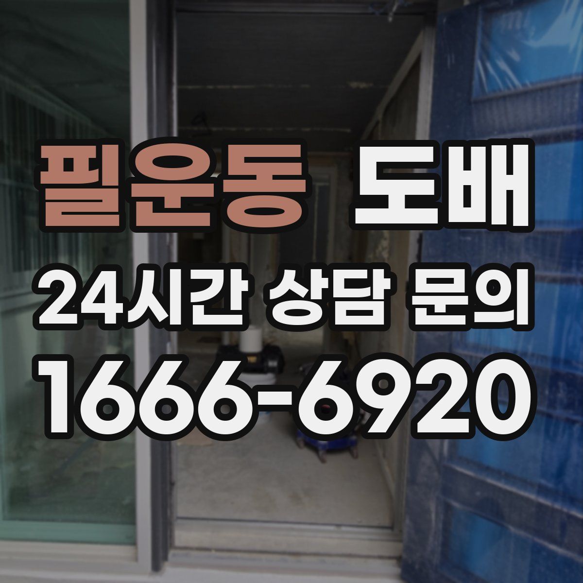 필운동 도배