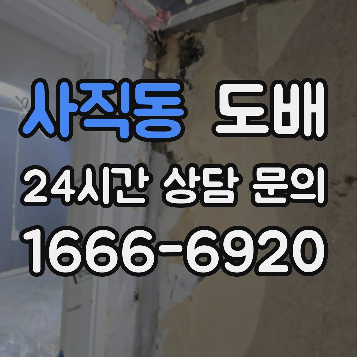 사직동 도배