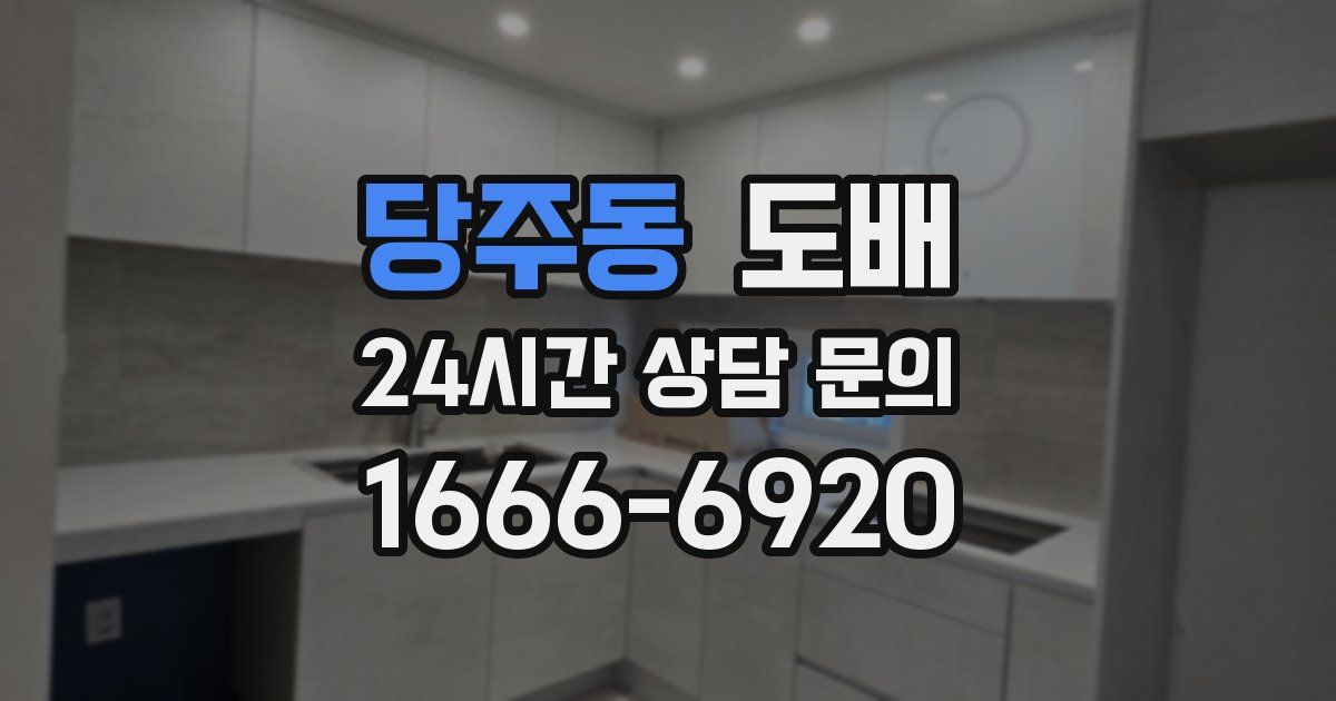 당주동 도배