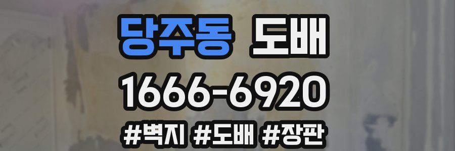 당주동 도배