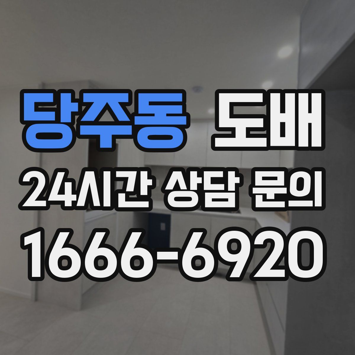 당주동 도배