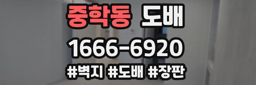 중학동 도배