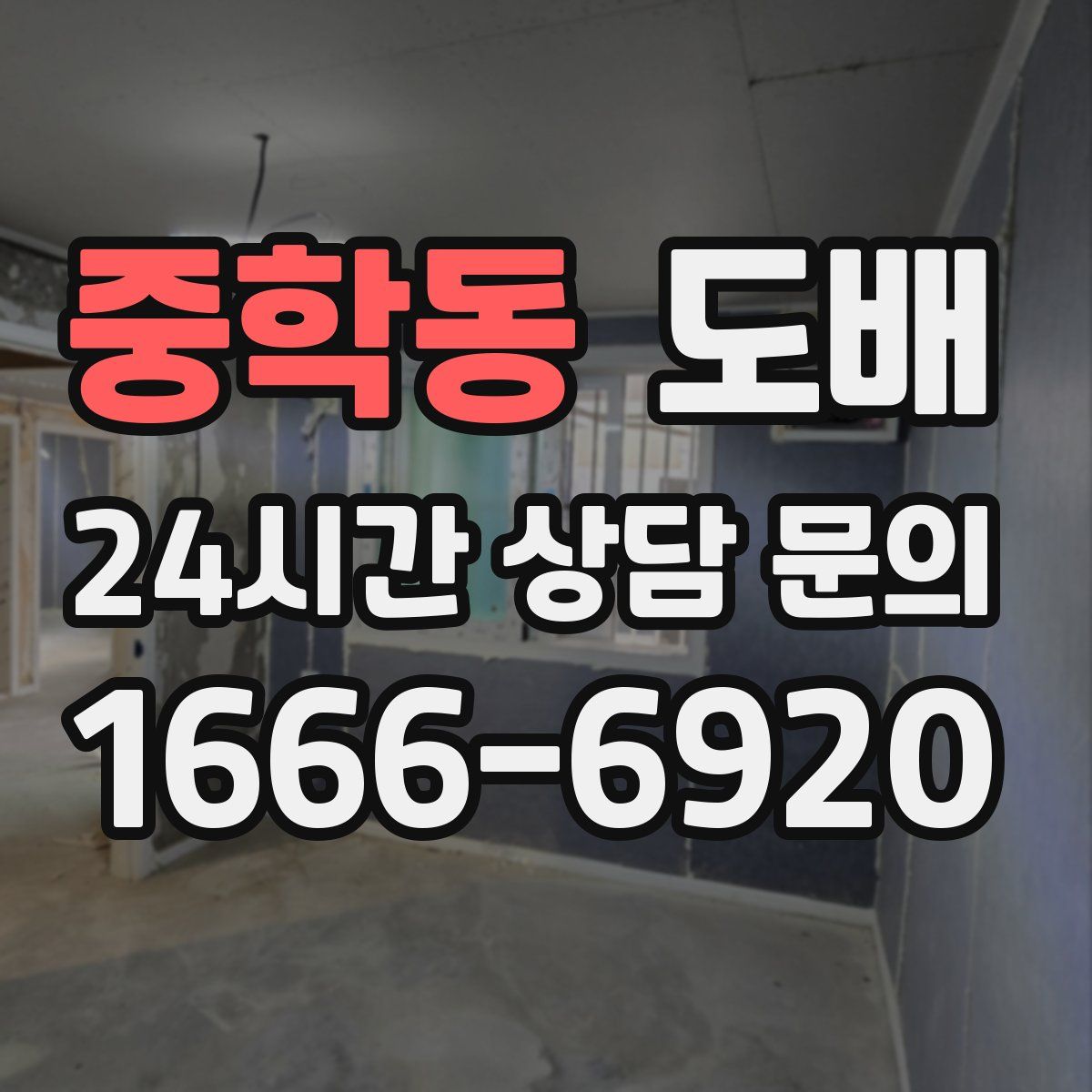 중학동 도배