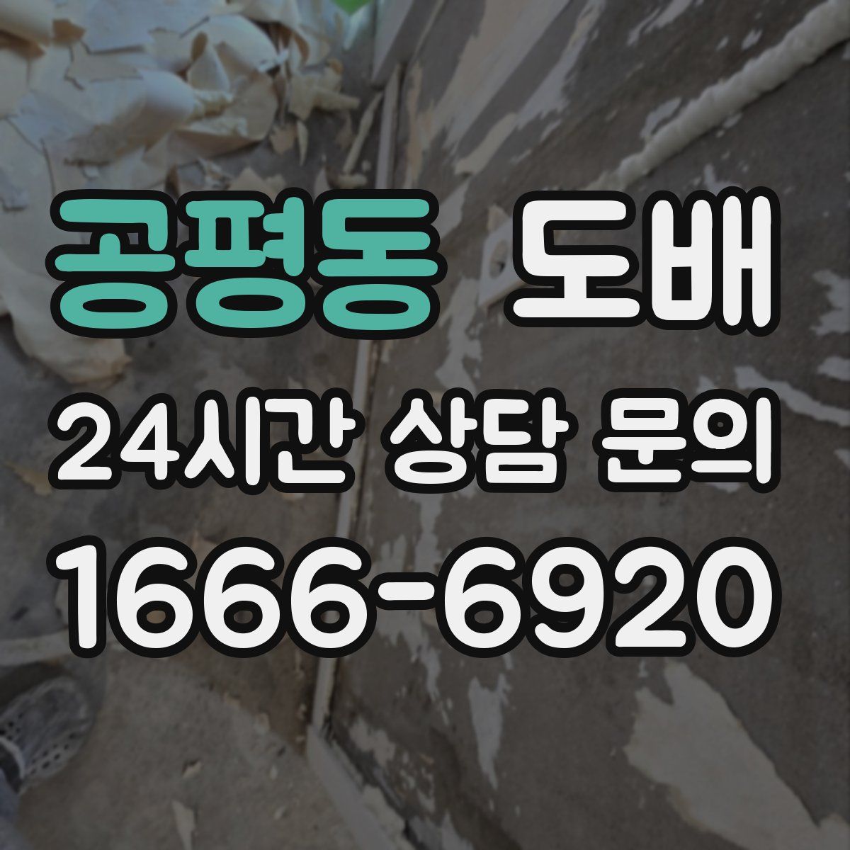 공평동 도배
