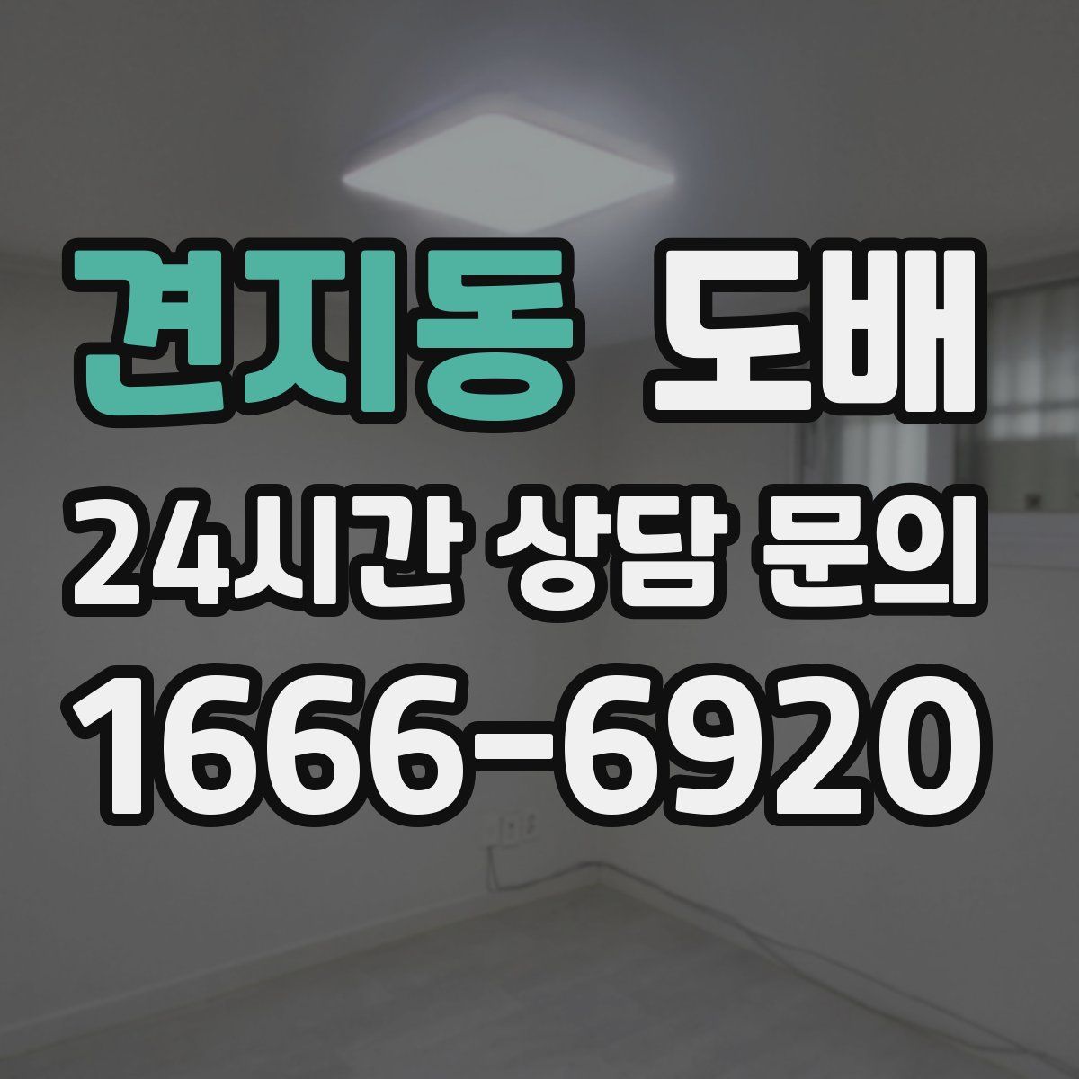 견지동 도배