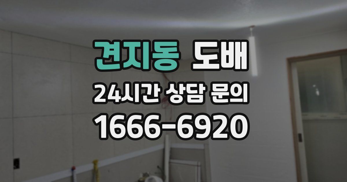 견지동 도배