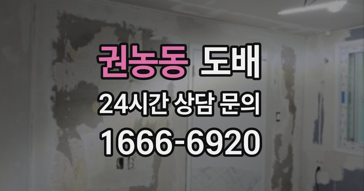 권농동 도배