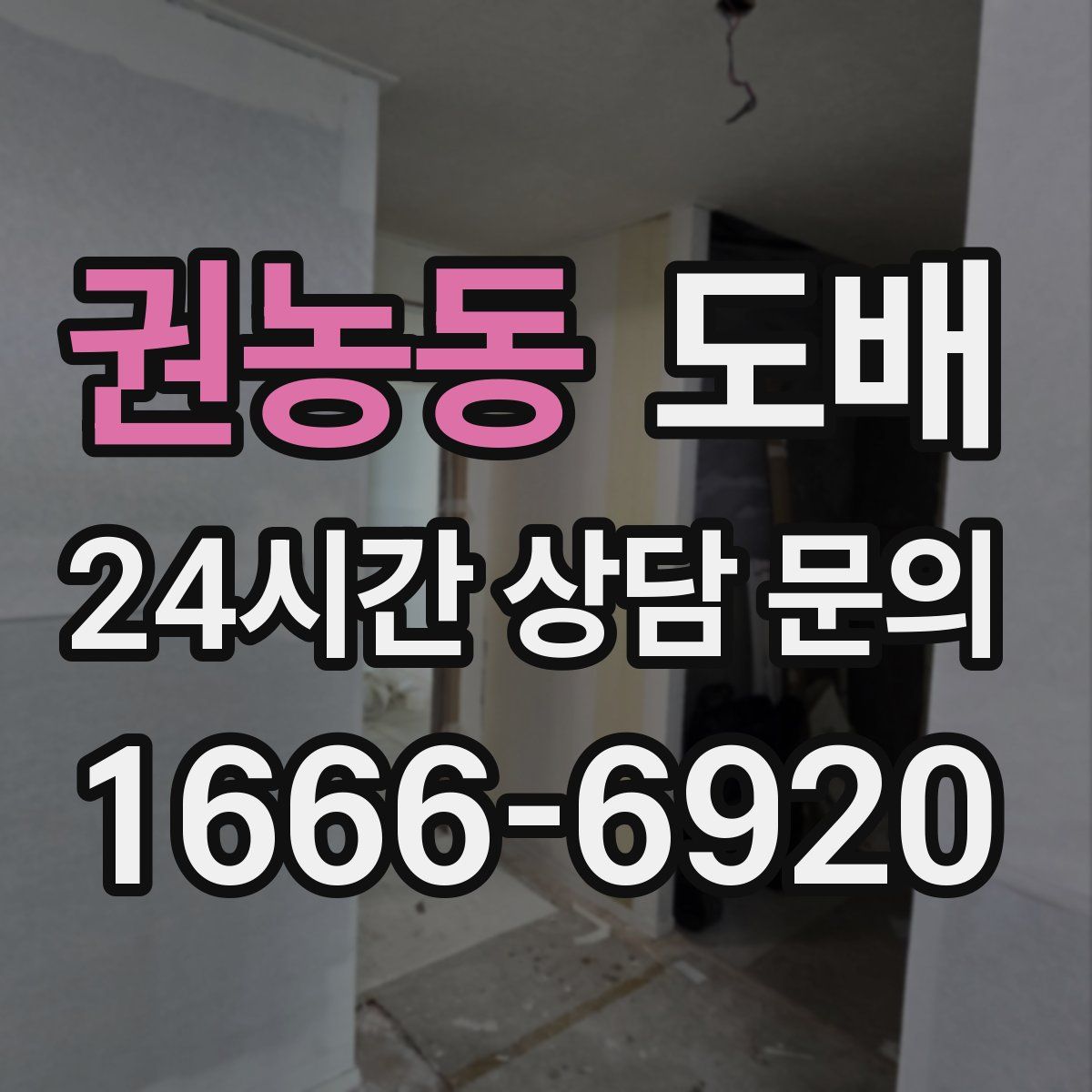 권농동 도배