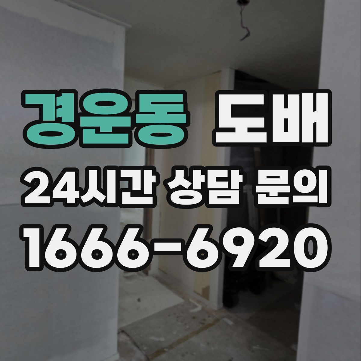 경운동 도배