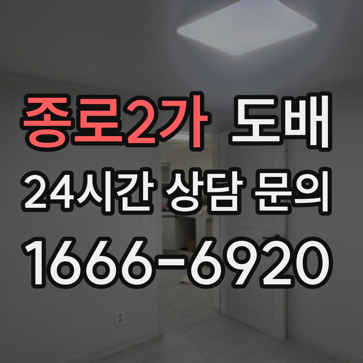 종로2가 도배