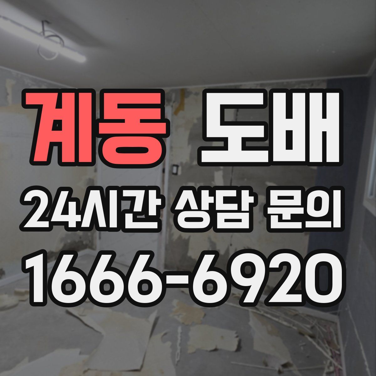 계동 도배