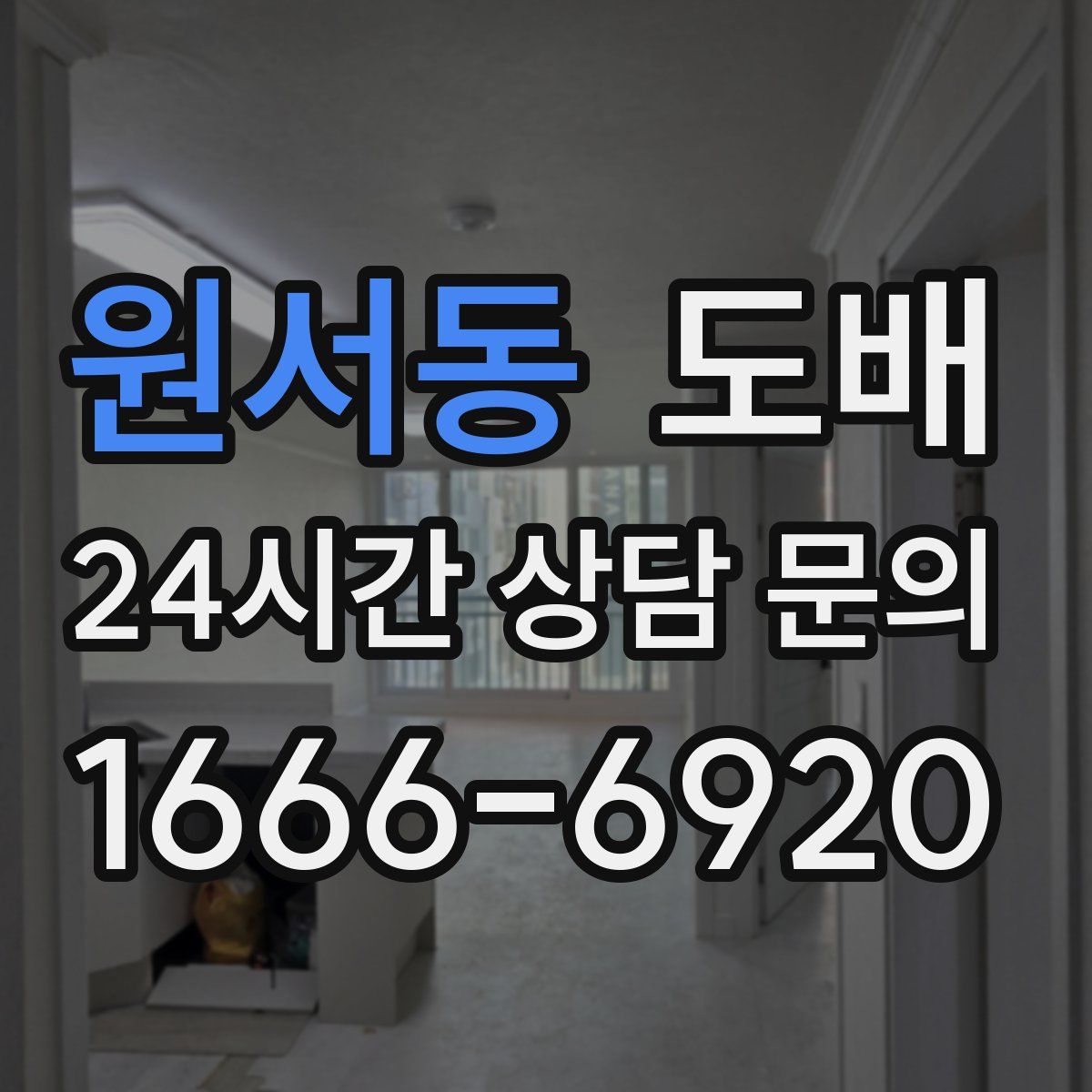 원서동 도배