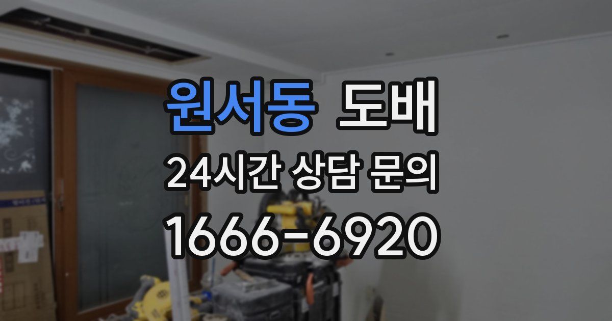 원서동 도배