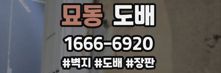 묘동 도배
