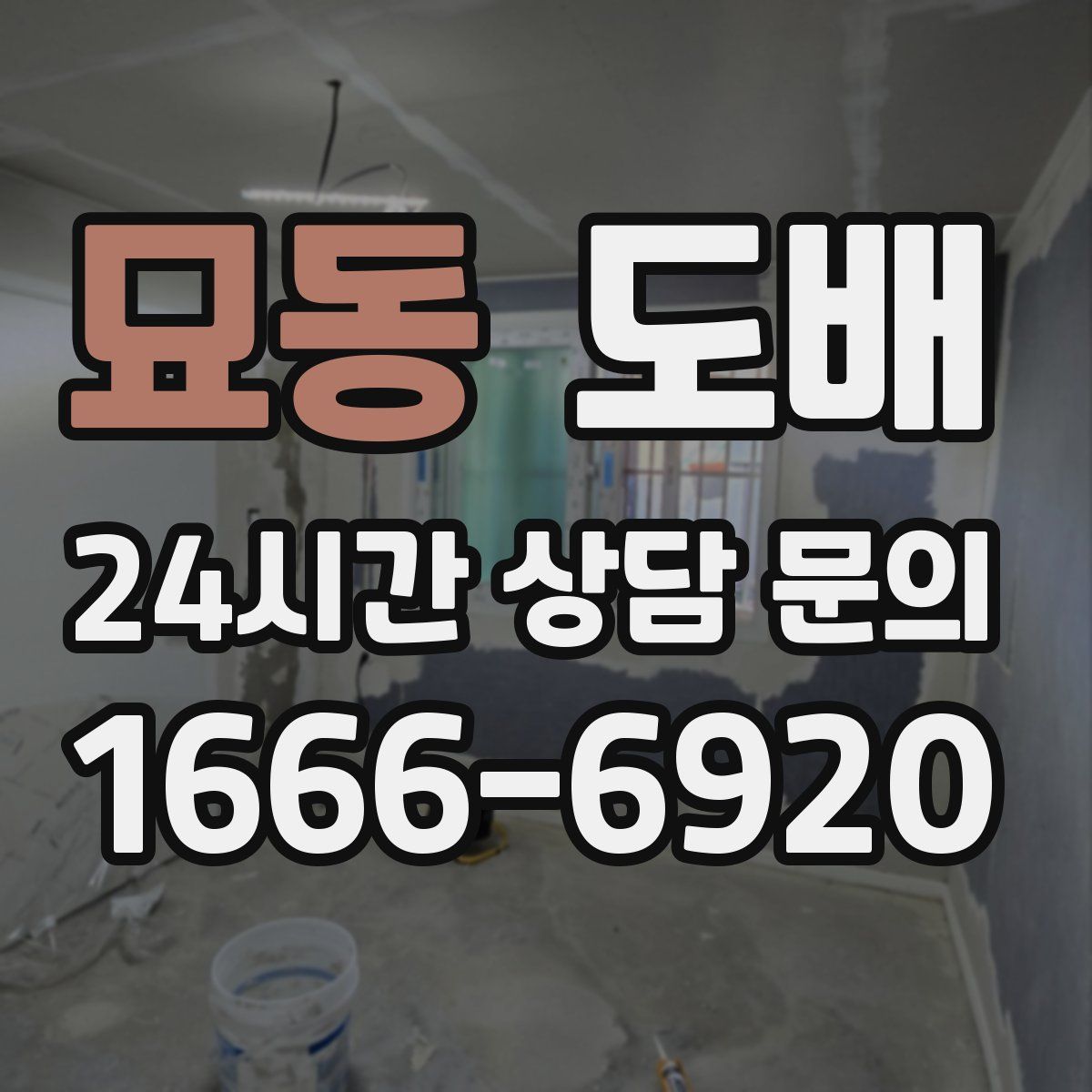 묘동 도배