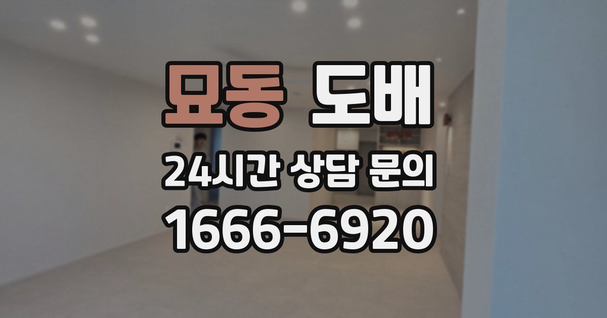 묘동 도배