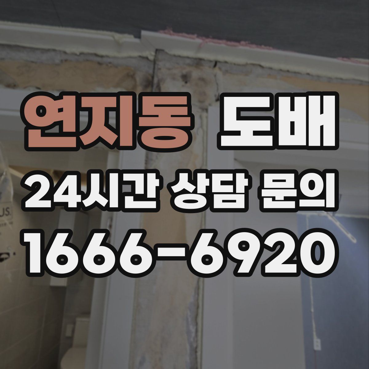 연지동 도배