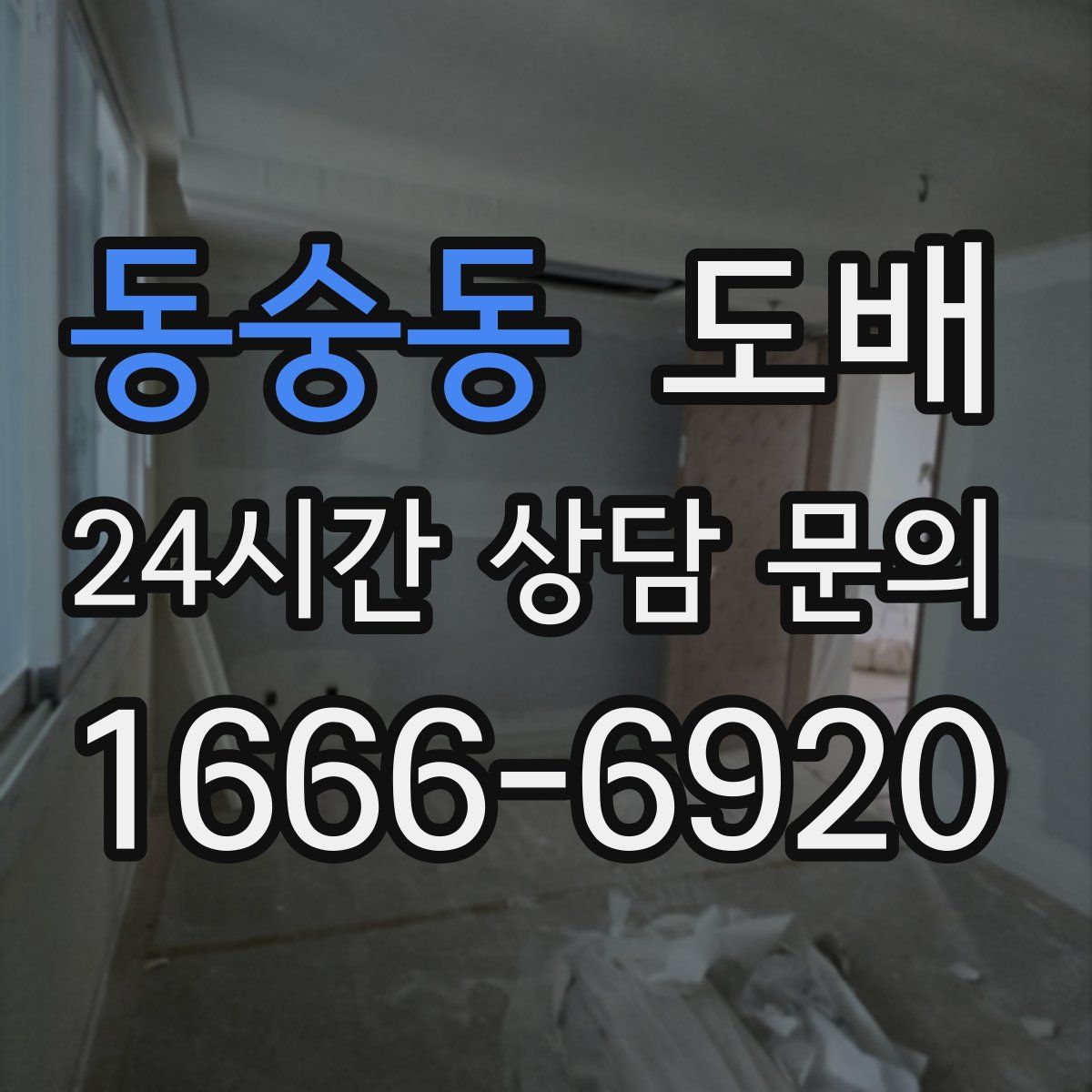 동숭동 도배
