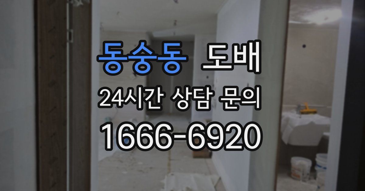 동숭동 도배