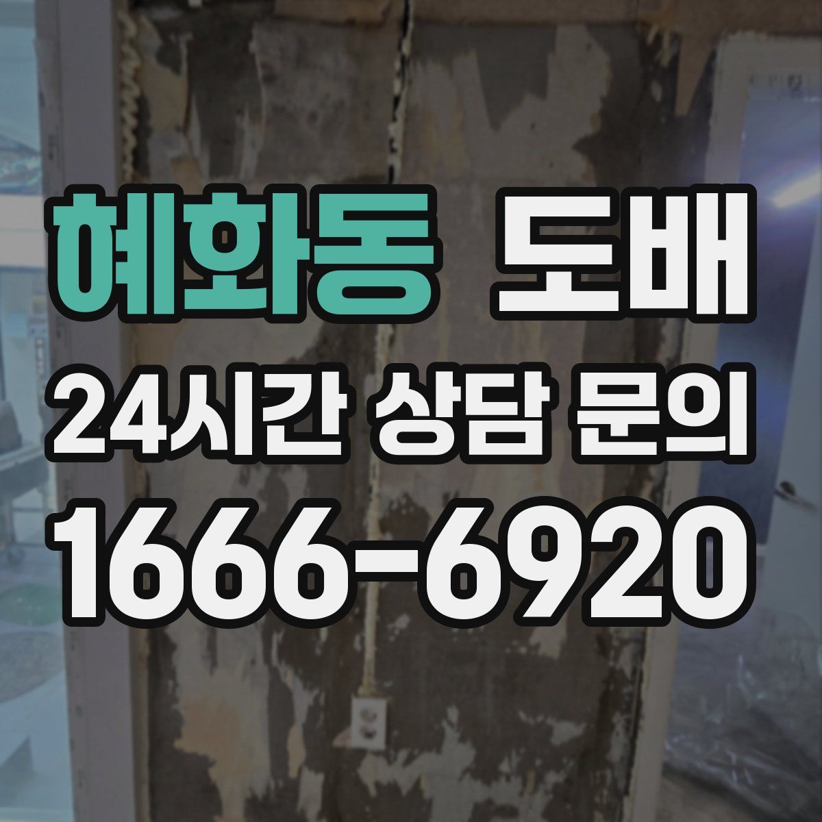 혜화동 도배