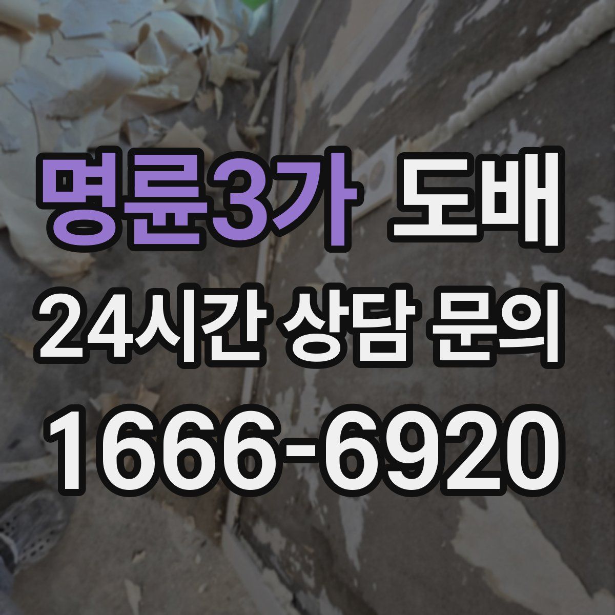 명륜3가 도배