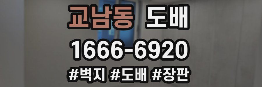 교남동 도배